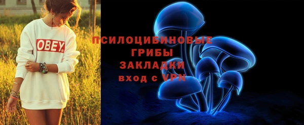 амф Дмитров