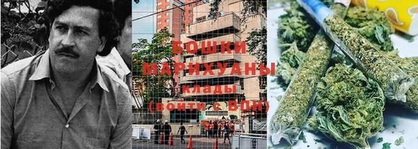 амф Дмитров
