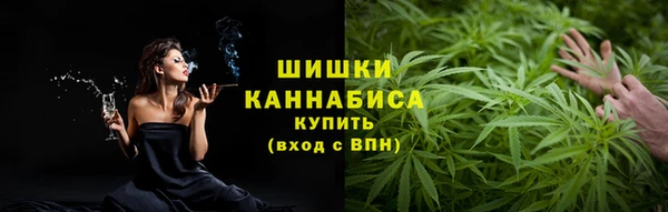метадон Гусев