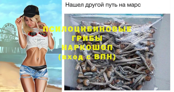 метадон Гусев