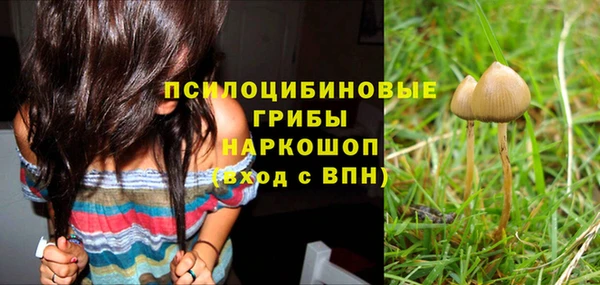apvp Гусь-Хрустальный