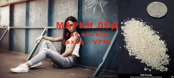 амф Дмитров