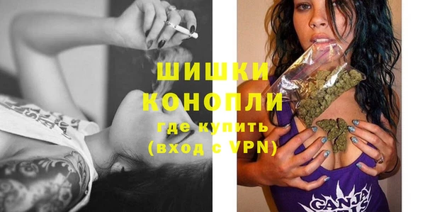 прущая мука Дмитриев